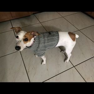 Meet your Posher, Janet